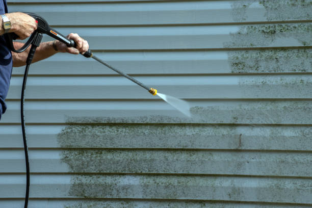 Best Dumpster Area Cleaning  in Comstock Park, MI